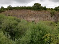 Basaltsteinwand bei Hillesheim